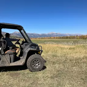 Backcountry Safaris offers scenic wildlife tours of Yellowstone and Grand Teton National Parks from Jackson Hole, Wyoming. Join our wildlife biologists on a small group or private Jackson Hole tour in a luxurious vehicle with HD binoculars and spotting scopes. Our guided Yellowstone lower loop day tour explores iconic geysers, hot springs, waterfalls, and the majestic wildlife of Hayden Valley, while our Grand Teton safaris include sunrise and sunset tours, bike tours, and a combined wildlife to