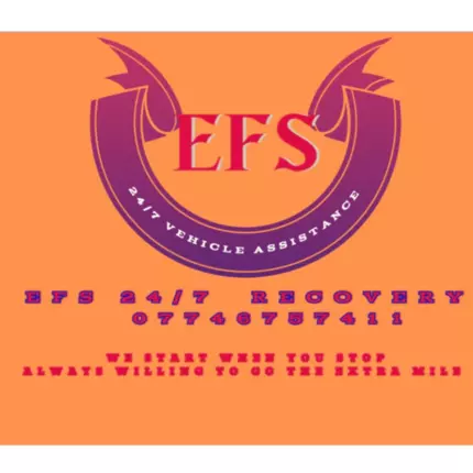 Logo von EFS 24/7 Recovery