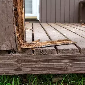 Deck Repairs