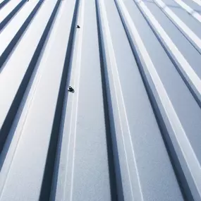 Metal Roofing