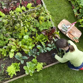 Bild von La Parenthèse au vert