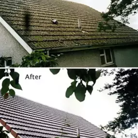 Bild von Apex Roofing