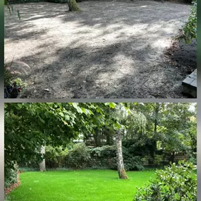 Bild von Lorenz Glas - & Gebäudereinigung