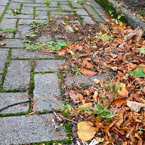Bild von Lorenz Glas - & Gebäudereinigung