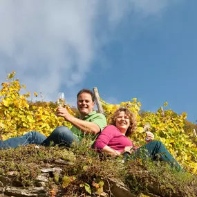 Bild von Weingut Louis Klein GbR