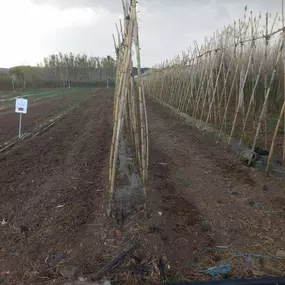 Bild von Ecofinca La Casa De Les Monedes