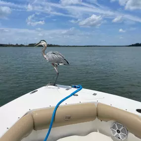 Bild von Hilton Head Boat Charters