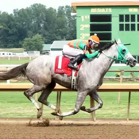 Horse Racing at Ellis Park Racing & Gaming in Henderson, KY
