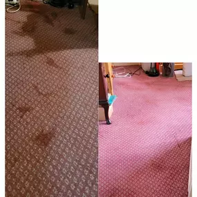 Bild von Paul Anderson Carpet and Upholstery Cleaning