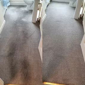 Bild von Paul Anderson Carpet and Upholstery Cleaning