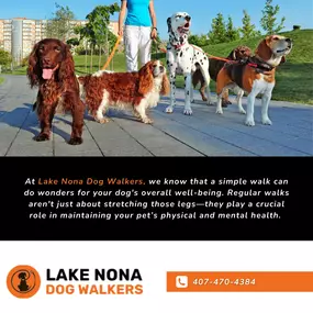 Bild von Lake Nona Dog Walkers