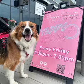 Dog-friendly cafe and dog store experience at Doggie Sweets in Long Branch, NJ.