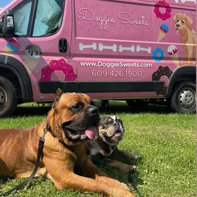 Dog treats, dog birthday, and pet-friendly events at Doggie Sweets.