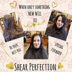 Bild von Shear Perfection Salon and Spa | Full Service Hair Salon