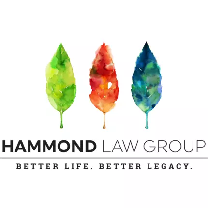 Logo from Hammond Law Group PC