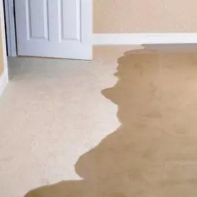 Water Damaged Wet Carpet