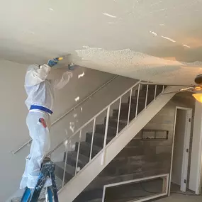 Mold Removal Services