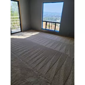 carpet cleaning service in Rogers, MN