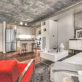 Apartment Living Room and Kitchen Area