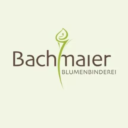 Logotipo de Blumenbinderei Bachmaier