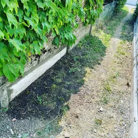 Bild von Swiss maçon Sàrl