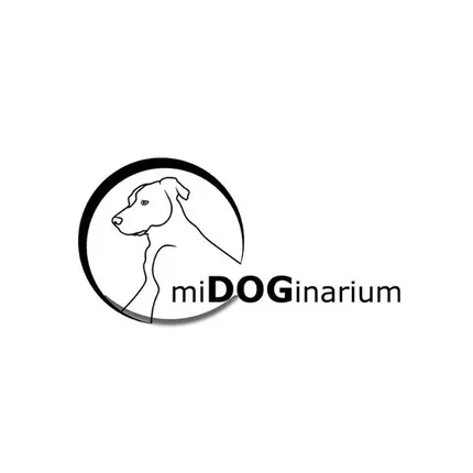 Logotipo de midoginarium