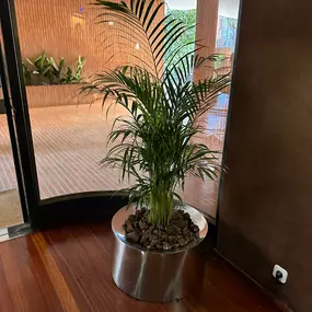 JARDINERIA_SORIANO_PLANTA2.jpg