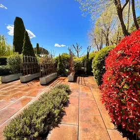 JARDINERIA_SORIANO_TERRAZA1.jpg