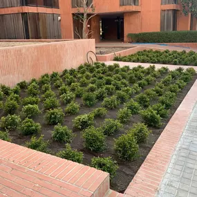 JARDINERIA_SORIANO_CIUDAD.2.jpg