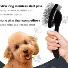 Customized Doodle Dog Brush | Doodle Me This Kingston And Hamilton Company