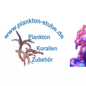 Bild von Plankton Stube | Korallen | Korallenfarm | Meerwasserfische | Meerwasser |Wirbellose