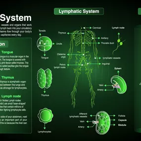 Bild von The Bodhi Tree Holistic Health Solutions