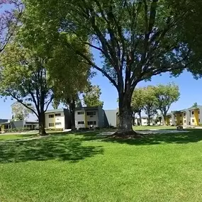 Cameron Park