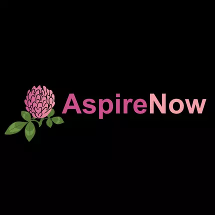 Logo od Aspire Now