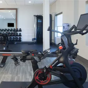 Health club  fitness center  gym