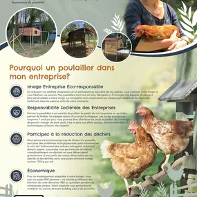 Bild von Poule à Dom ECO VERTU SOLUTIONS