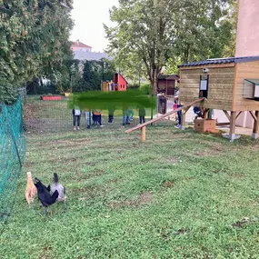 Bild von Poule à Dom ECO VERTU SOLUTIONS