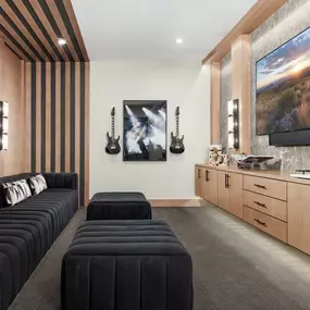 Spacious media rooms