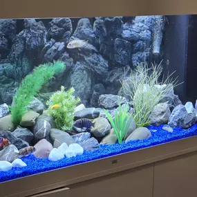 Bild von HG-AQUARISTIK