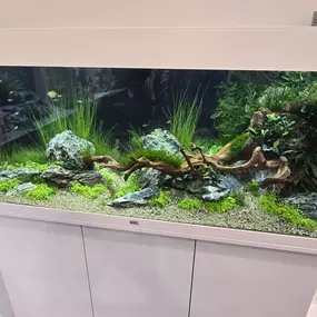 Bild von HG-AQUARISTIK