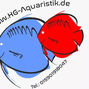 Bild von HG-AQUARISTIK