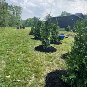 Cranberry Township Landscaping & Shrubbery Installation