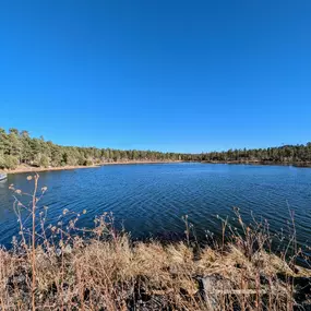 Experience beautiful Woodland Lake Park, one of Pinetop's most popular trails, completely accessible via the trail on the property of Northwoods Cabins Resort.