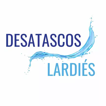 Logo de Desatascos Lardies