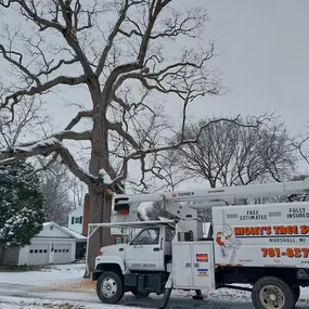 Bild von Higley's Tree Service, LLC