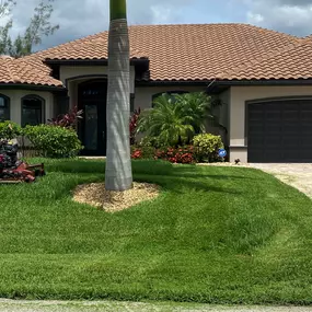 Bild von Grass Money Lawn Maintenance & Landscaping