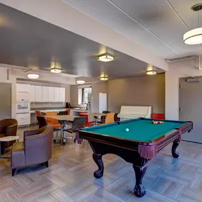 Community Room with Pool Table