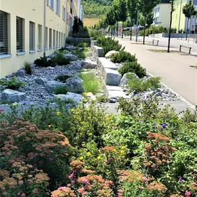 Bild von Arifi Gartenbau GmbH