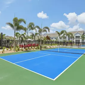 Pickleball Court