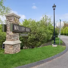 Bild von Mallory Ridge